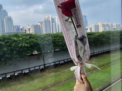 -海心沙亚运公园