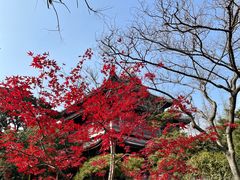 -龙华寺