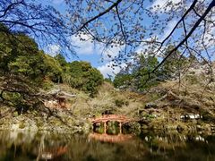 -醍醐寺