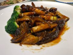 -新侨小馆(东直门北小街店)