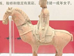 -安阳博物馆