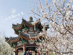 -颐和园