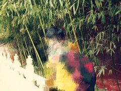 iphone_upload_pic-景山公园