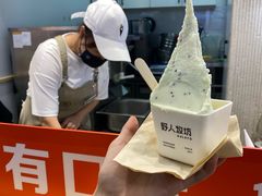 -野人先生现做冰淇淋(西安赛格店)