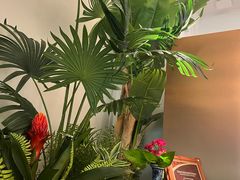 -Mezomd曼索蒂西班牙餐厅(广粤店)