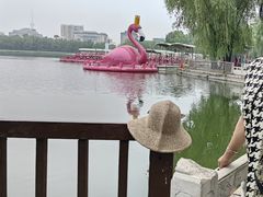 -莲花池公园
