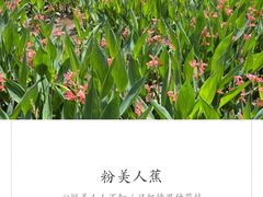 -重庆彩云湖湿地公园