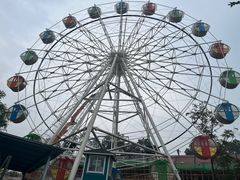 -森波拉奇妙世界