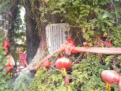 -大槐树寻根祭祖园
