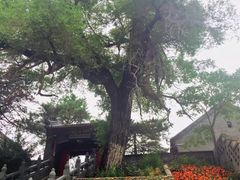 -北山公园