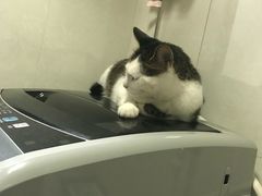 -中农国际动物医院24小时·猫科·骨科·急重症中心