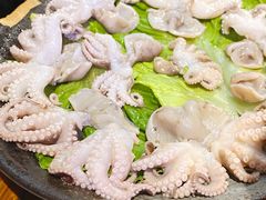 八爪鱼-海煮叹鲜·粥底火锅·港式海鲜打边炉(赛银国际广场店)