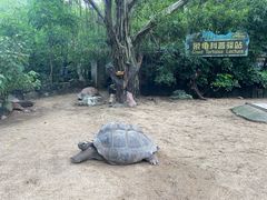 -广州长隆飞鸟乐园