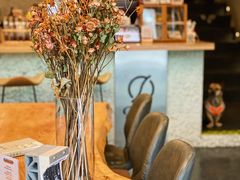 -Infica Coffee