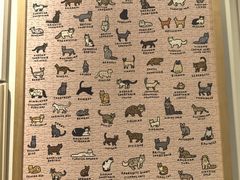 -foodoo芙多松饼店