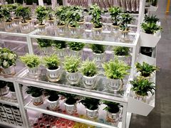 -KKV(深圳宏发大仟里店)