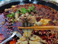 -蛙鲜到美蛙鱼头