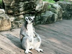 -北京野生动物园