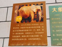 -太原动物园