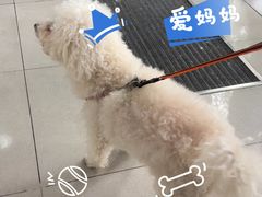 -守诺宠物医院·眼科· 特色牙科·异宠专科(虹口店)
