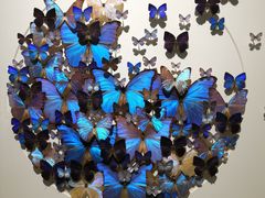 -华南国家植物园-售票处