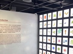 -四川大学博物馆