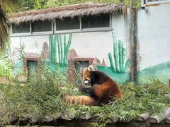 -泉州海丝野生动物世界