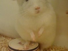 -龙猫仔乐园(惠福东路店)