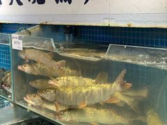 -胖姐渔村(中源大道店)