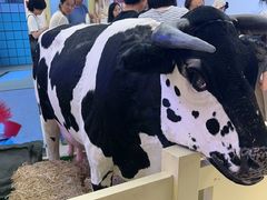 -红星前进面包牛奶公司(君太店)