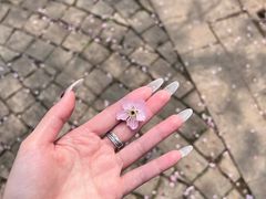 -南山植物园
