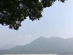 -大澳