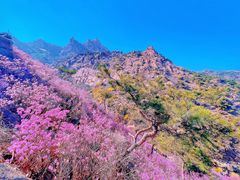 -青岛大珠山景区