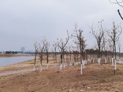 -苏州湾体育公园