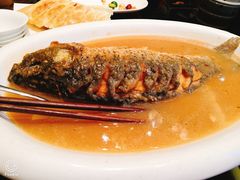 红烧黄河大鲤鱼-阿庄新豫菜(航海东路店)