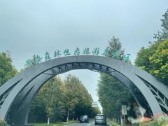 -黄海国家森林公园