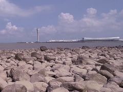 -上海吴淞炮台湾国家湿地公园