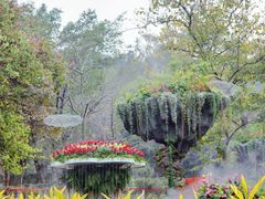 -广州市白云山风景名胜区