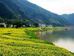 -新安江山水画廊风景区