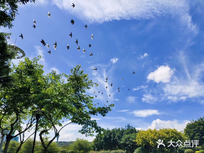 白鹭洲公园图片