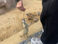 -茅山东方盐湖城景区