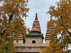 -北京石刻艺术博物馆(五塔寺)