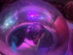 -太奥幻太奇海洋馆