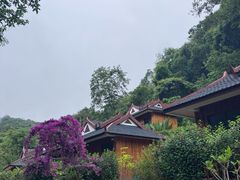 -野象谷景区