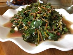 马齿苋-途中饭店(开化店)