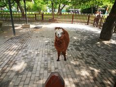 -西安秦岭野生动物园