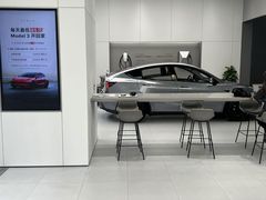 -TESLA 特斯拉(广州天环广场体验店)