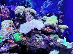 -多彩贵州城极地海洋世界