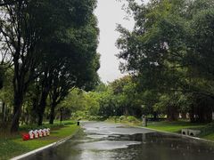 -南宁南湖公园