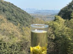 -韬光茶庵